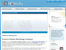 Tablet Screenshot of netricks.com